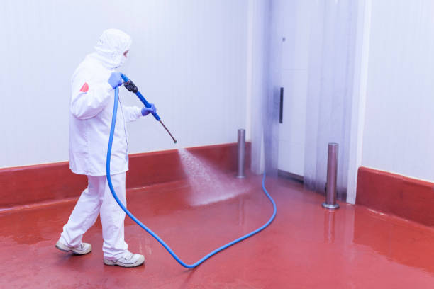 Best Driveway Pressure Washing  in Gotha, FL