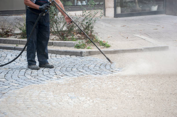 Best Sidewalk and Walkway Cleaning  in Gotha, FL
